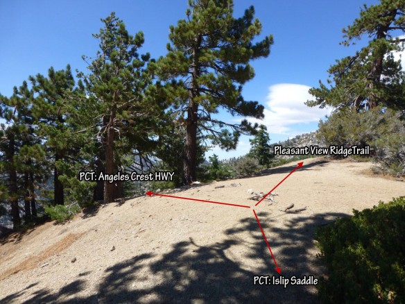T-intersection of Pacific Crest Trail and Pleasant View Ridge Trail.