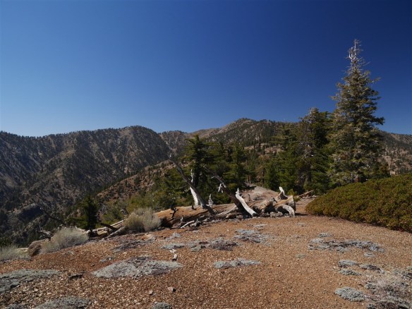 My favorite Angeles National Forest Hike in April was #028 to Copter Ridge (which I didn't realize was a peak on the Sierra Clubs Hundred Peaks list until after I already blogged about it).