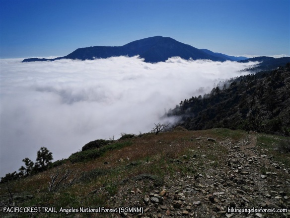 View toward Mt. Baden-Powell of the ephemeral sea of clouds rolling in and forming a coastline above 7,000'.