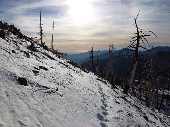 I had already hiked to Mt. Hawkins in snow before on November 9, 2011. I bought snowshoes after that hike. Note the post holing track I left on my way up. No sinking into the icy snow occurred on my way up to Windy Gap on this year's attempt.